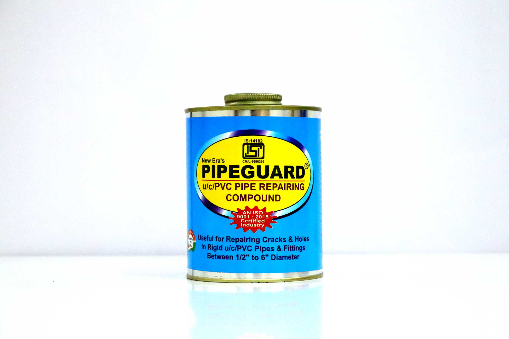 Pipeguard U/C/PVC Pipe Repairing Compound Regular - 1 kg Tin